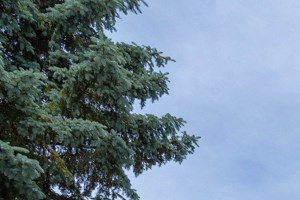Waterford Apartments For Rent Mi Rentcaf 233